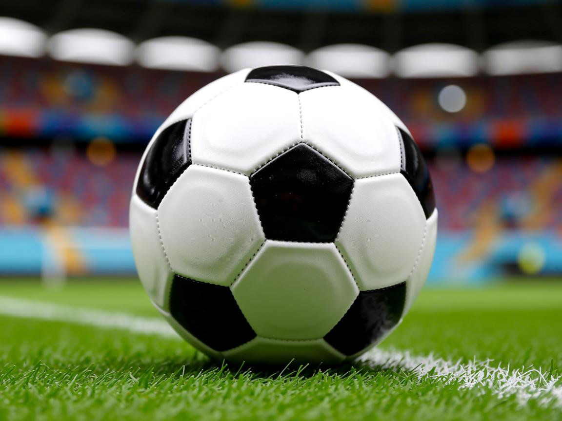 db真人游戏官网-中国三人篮球男队战术执行有序，中国三人篮球男篮赛程  第2张